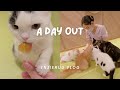 A Day Out in Osaka | vegan cafe, garden and cat cafe