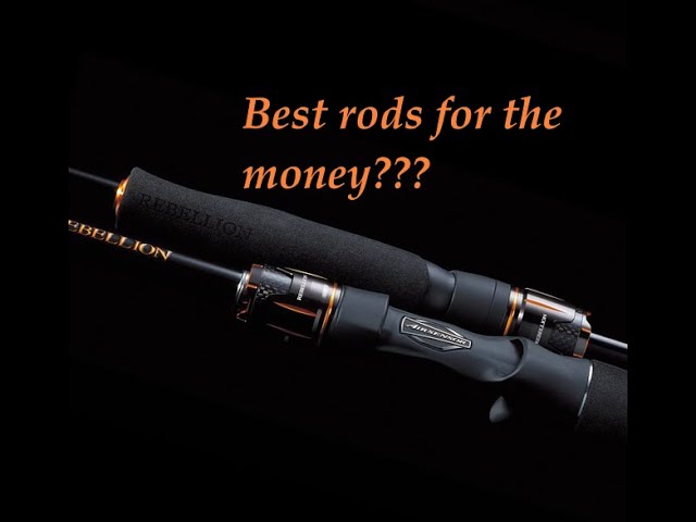 2020 Daiwa Rebellion: Rod Review ~ Best $200 Rods? 