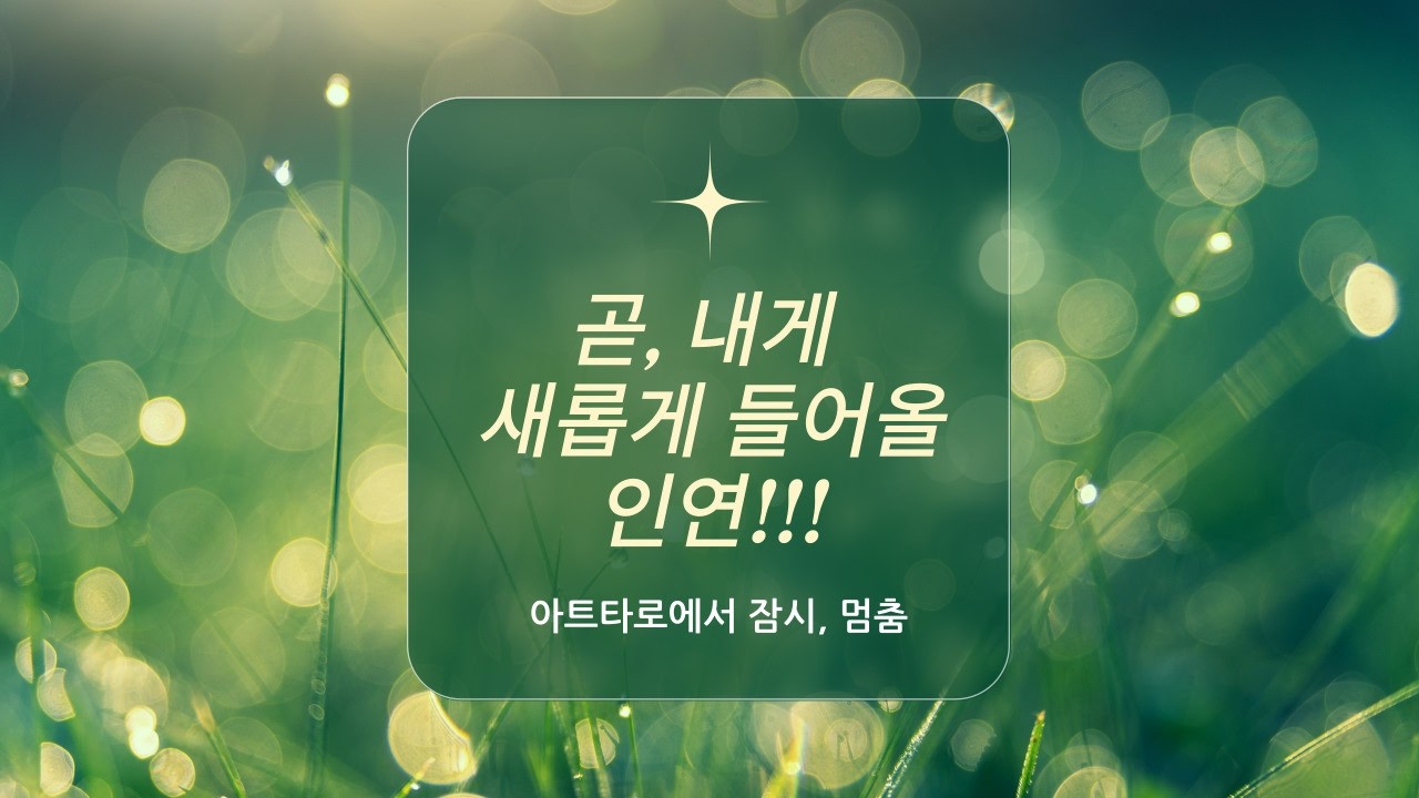 [타로연애운] 곧, 내게 새롭게 들어올 인연!!!🌻🌻🌻 #타로 #타로연애운 #타로속마음 #고백운 #결혼운 #타로카드 #tarot 