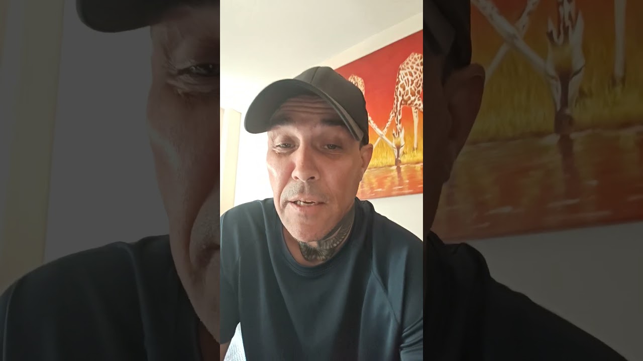 apologies for lack of bashfest vid