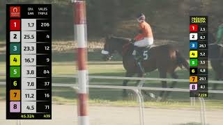 Vidéo de la course PMU PRIX CHICLE