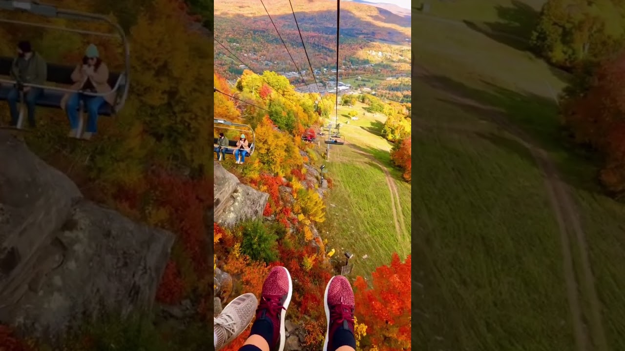 The fall foliage in New York's Catskills🍁