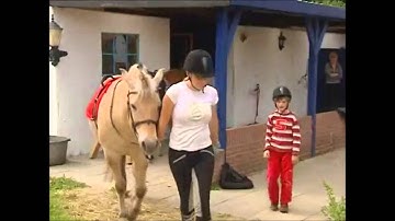 filmpje assertiviteit