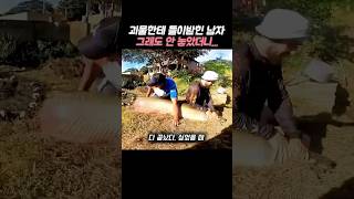 괴물 물고기가 그물 뚫고 탈출하고, 꼬리로 허벅지까지 후려치더니...
