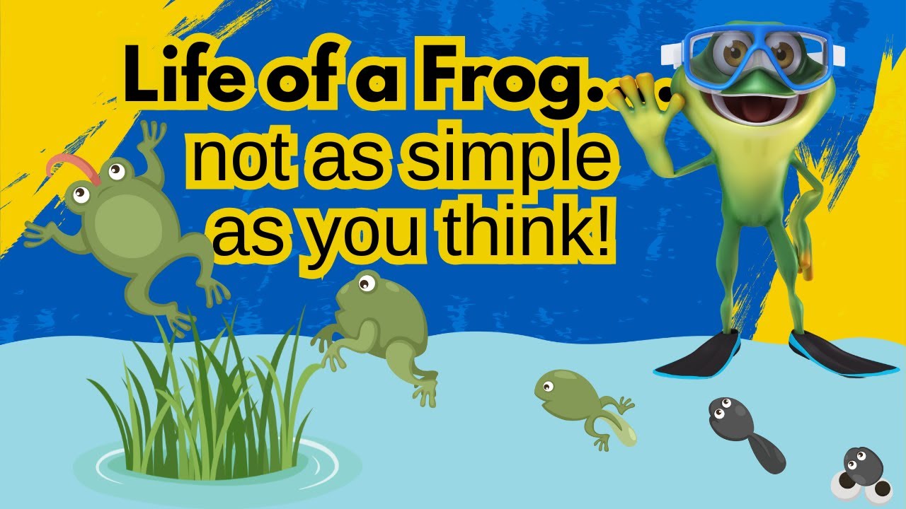 🐸Hop Into the Frog Life Cycle: Metamorphosis Magic! Eggs, Tadpoles, Froglets & Beyond!