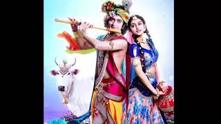 Achyutam Keshvam Krishna Damodaram Song