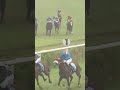🏇🔥 Mumbai Live Race – Today Oh my goodness… 🤯What a finish!🤯#horse #race #sports #mumbai #livestream
