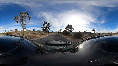 Joshua Tree Drive VR 360