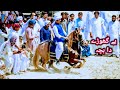 International rider qamar zaman khan  sajan junior  horse riding skills  pakistan tent pegging