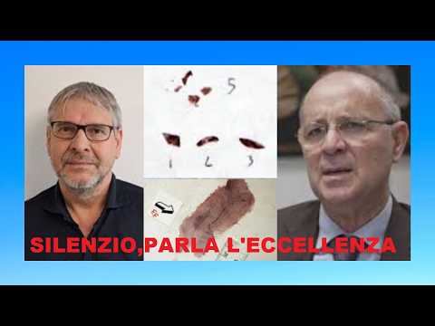 Video # Garlasco: DNA e impronta 33 indizi che incastrano con la ricostruzione della Proc.