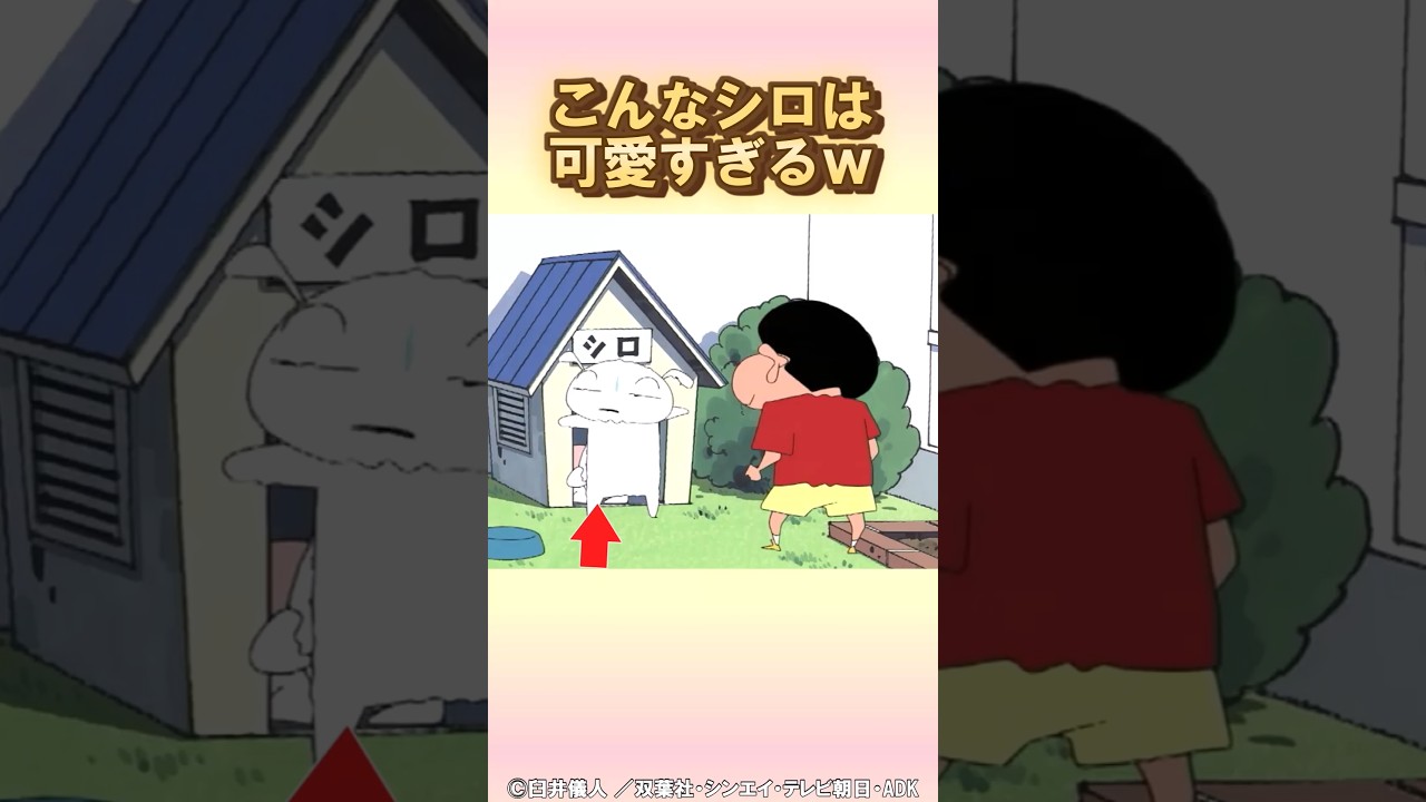 メス犬の名前はみんなでつけた#アニメ#クレヨンしんちゃん #野原しんのすけ #野原みさえ #シロ