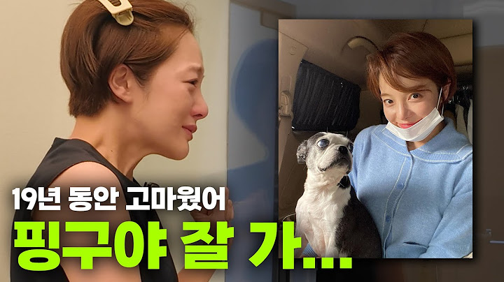 핑구와의 작별인사, 잘가 핑구야 너무 고마웠어ㅣ오덕이엄마 EP.33