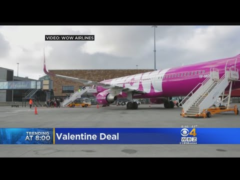 Video: WOW Air Oferă Zboruri Gratuite în Islanda Persoanelor Numite Valentine