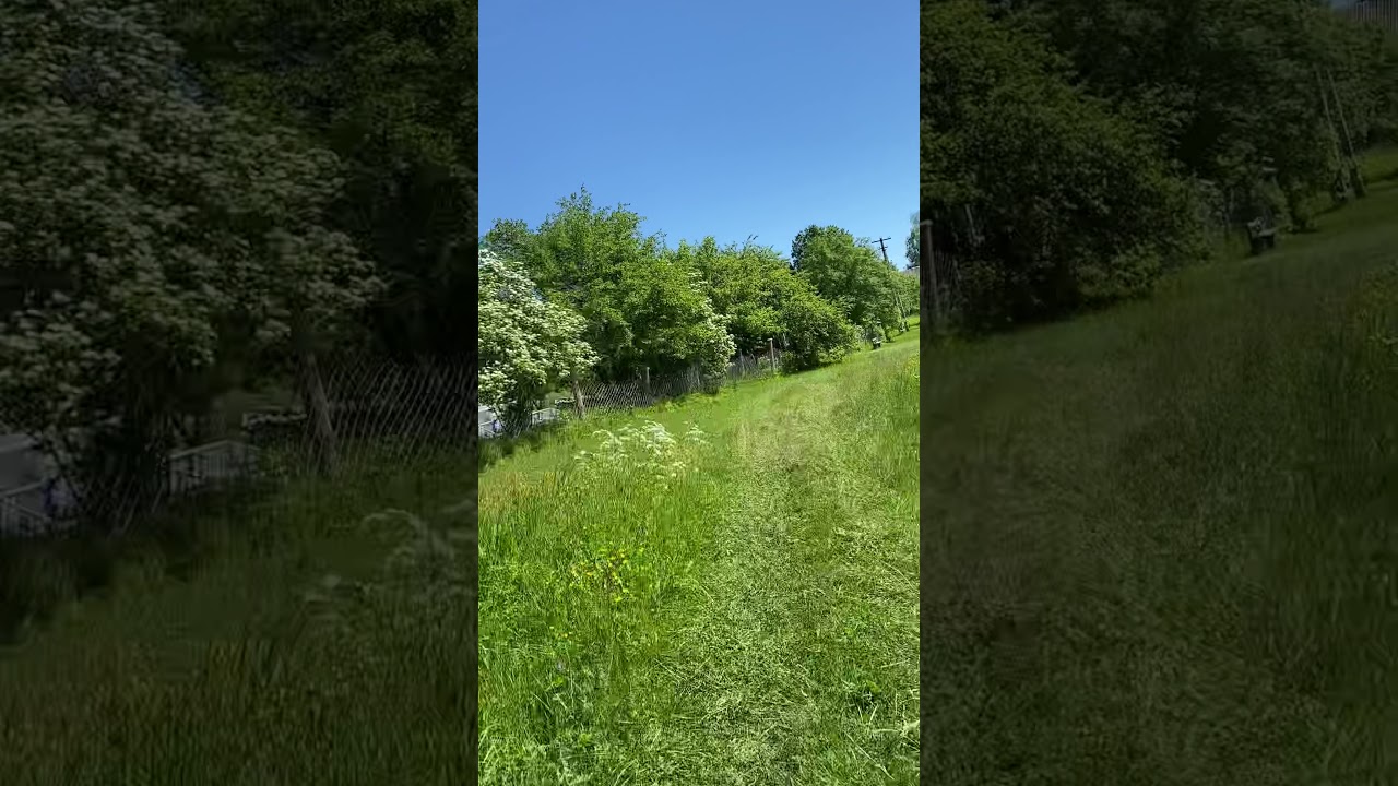 Увары . Новгородская область, Маловишерский район