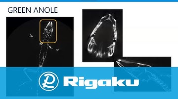 Rigaku Webinar: X-ray Computed Tomography for Materials & Life Science 7: Life Science Applications