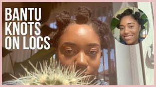 I Tried Bantu Knots on My Locs for the First Time!