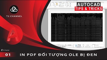 T2C | AutoCAD Tips & Tricks 01: Sửa lỗi in PDF đối tượng OLE bị đen trong AutoCAD