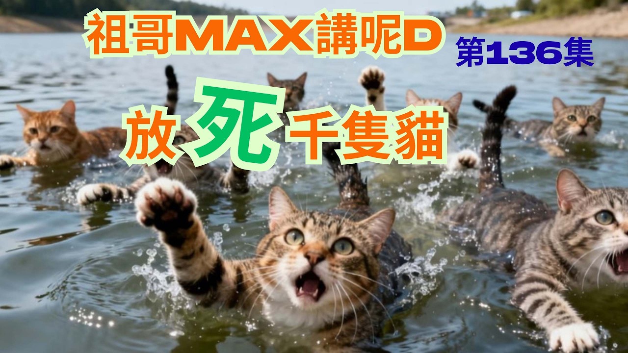 廣東水庫放生千隻貓 / 竟然淘寶買放生券😱😱/ 唉放生變放死 /