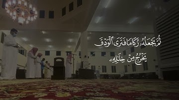 أجمل تلاوات للقرآن الكريم جميلة وهادئ #تلاوة_هادئة#تلاوة_خاشعة#تلاوات_المساجد#quran#اجر_لي_ولكم#اجر📝