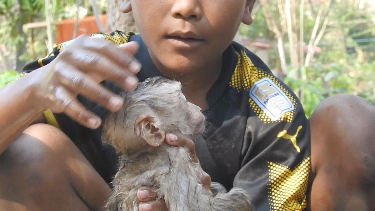 So kind! Today kid bring monkey Axel to take bath and nursing him | Monkey Axel, Axel monkey