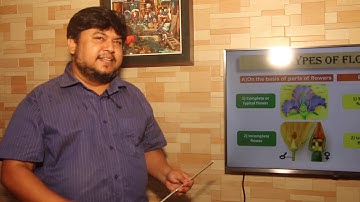 JSC(English Version)Chapter-4,Part-2