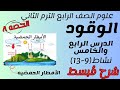 الدرس الرابع و الخامس علوم الصف الرابع الابتدائي مفهوم عن الوقود نشاط 9 13 الترم التاني ٢٠٢٤