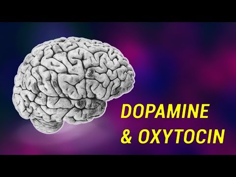 ഡോപാമൈൻ & ഓക്സിടോസിൻ: പ്രണയത്തിന്റെ കെമിക്കൽസ്