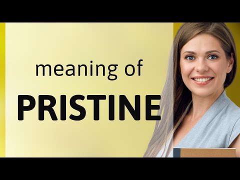 Pristine • PRISTINE definition