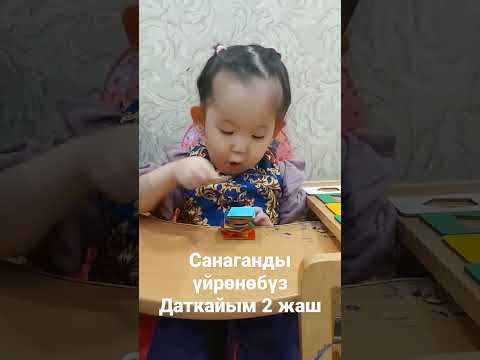 Учимся считать. 2 г. #кыргызча #развитиеребёнка #балаларға #детинашебудущее #babytrend