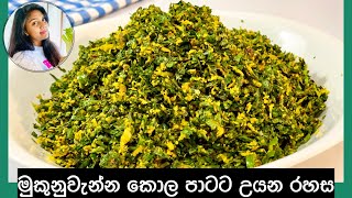 ️කොල පාටට මුකුණුවැන්න මැල්ලුම්‍ හදන රහස Mukunuwenna mallum | Ape Ambula 