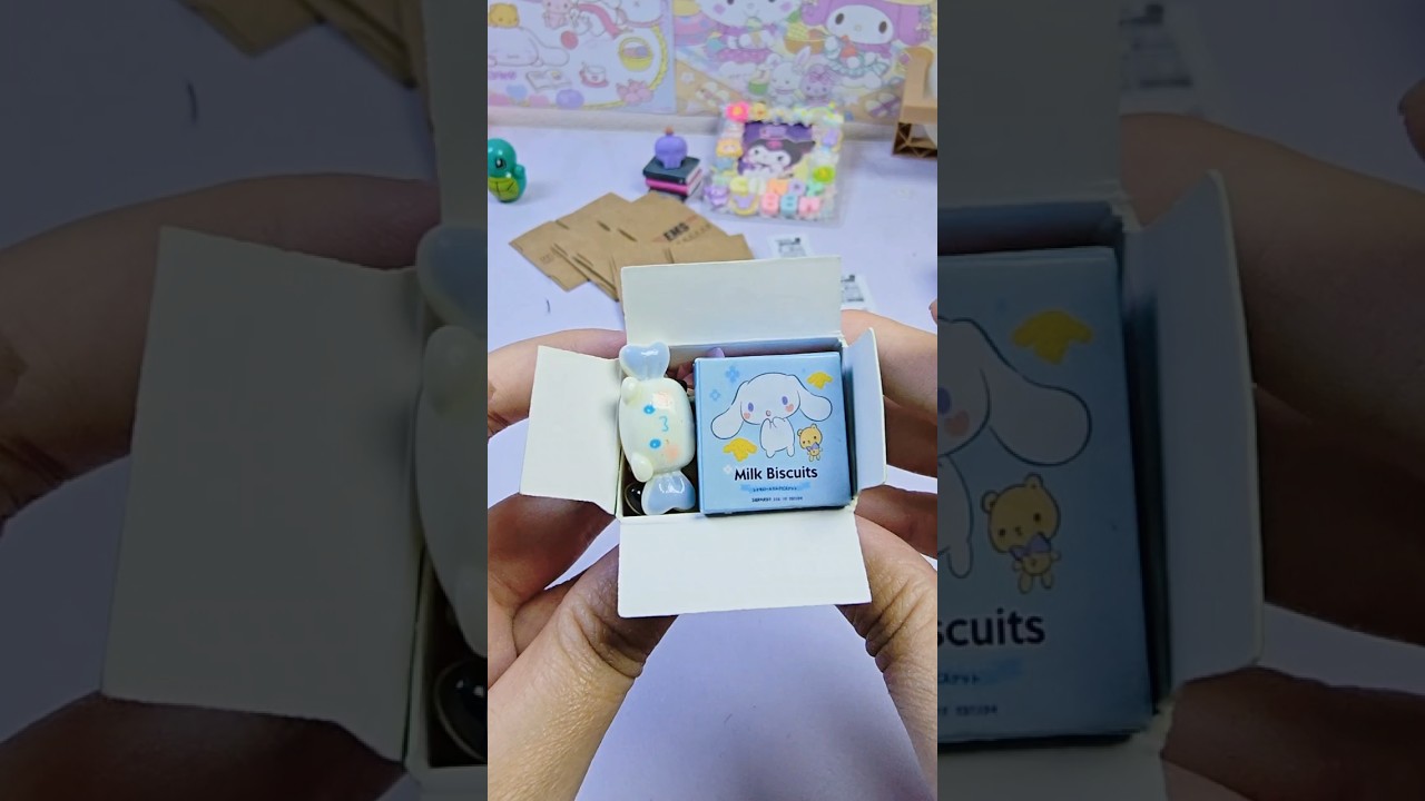 pochacco vs 2 cinnamoroll candy mini box package p249📦 