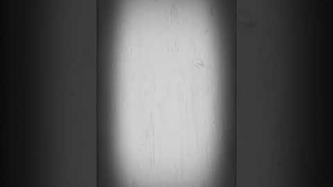 BLACK WOMEN!!! THE BLACK MAN IS THAT BIRD BLACK WOMEN!!!