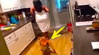 This Housemaid Had No Idea She Was Being Filmed – What Owner Captured Was Shocking