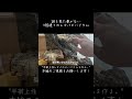 3階建てのレオパビバリウムを作りました。#本編切り抜き #飼育 #爬虫類 #ヤモリ #gecko #レイアウト水槽 #ヒョウモントカゲモドキ #レオパ #レオパ飼育 #leopardgecko