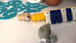 Edincan Minişler Little Petshop Flüt Dersleri