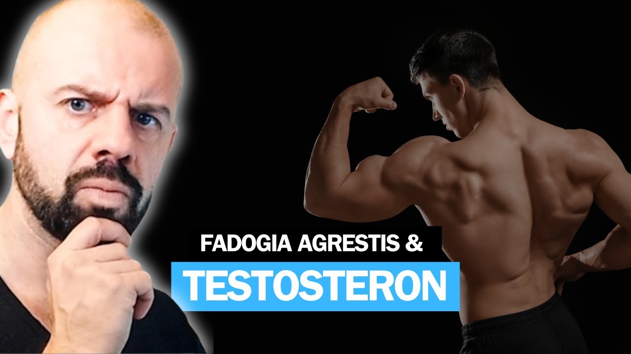 Testosteron VERDOPPELN durch Fadogia agrestis - hat Andrew Huberman recht? | Dr. Malte Puchert