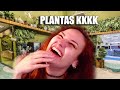 PLANTAS KKKKKKKKKK