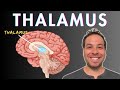 What is the thalamus  sensory processing consciousness attention