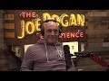 Joe Rogan thinks UFC will give Conor McGregor Immediate Title Shot in his Return from Injury