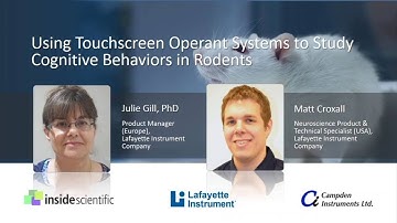 Using Touchscreen Operant Systems to Study Cognitive Behaviors in Rodents