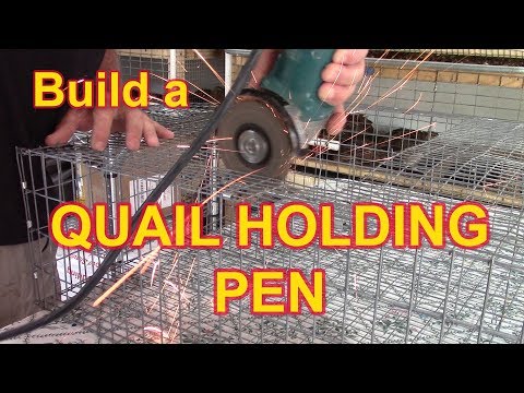 QUAIL CAGE - How to build a Temporary Holding Cage for your Quail