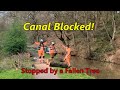 Stopped by a Fallen Tree - a Snippet of Boating Life