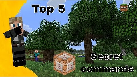 5 MINECRAFT COMMANDS YOU DIDN