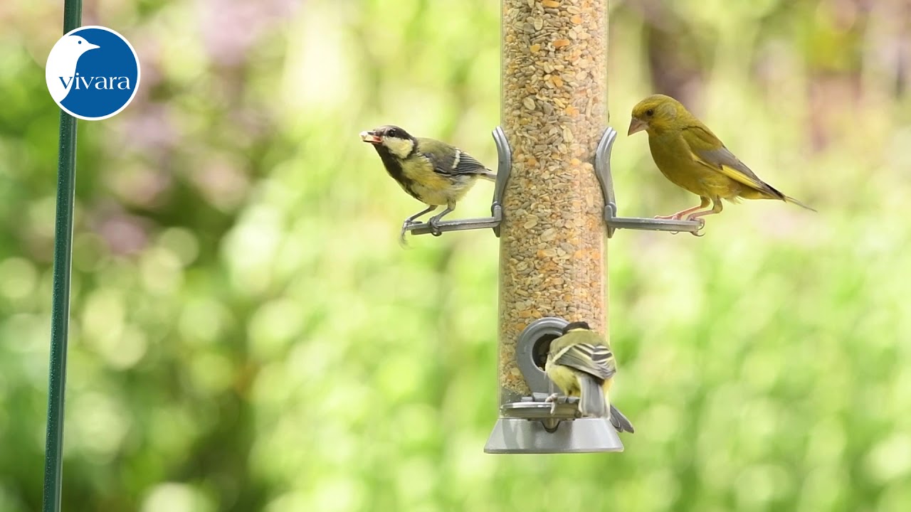 voedersilo metaal 38 cm met premium voedermix puur