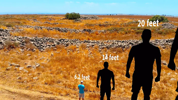 The Circle of Giants, A Stonehenge of the Middle E...