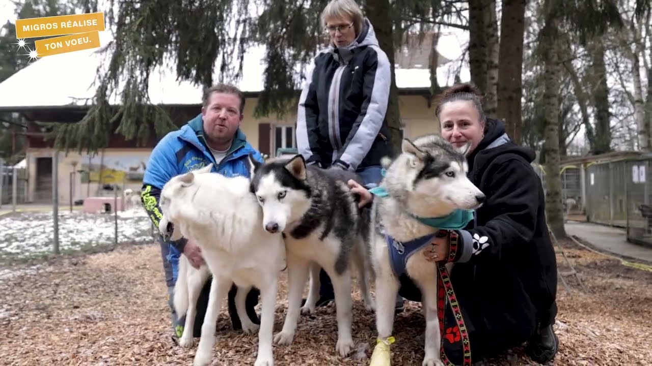 MIGROS réalise ton vœu - SOS chiens polaires