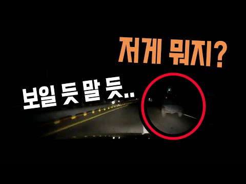 12015회. 야간에 가로등 없는 국도길.. 정말 간발의 차이로 피했습니다.