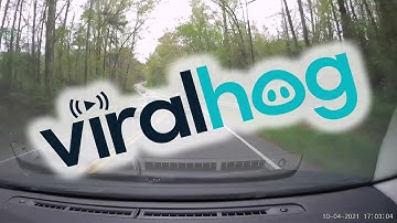 Scary Situation With Sleepy Driver || ViralHog