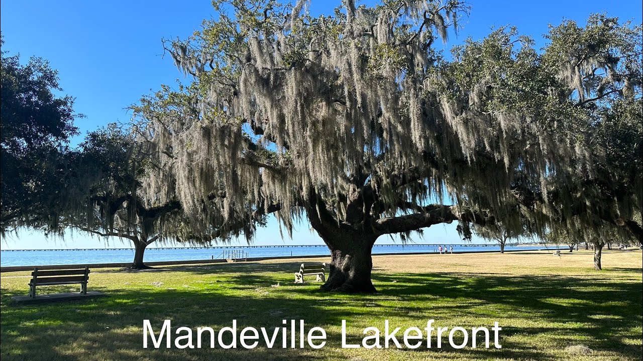 Mandeville, LA Lakefront
