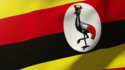 4K Uganda flag waving in the wind. Looping sun rises style. Animation loop Stock video